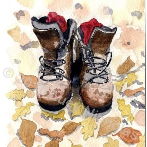 My Walking Boots