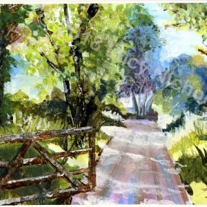 Country Lane