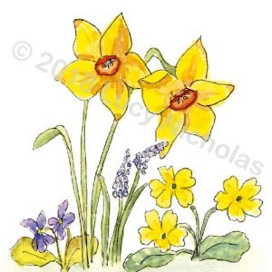 Spring Flowers