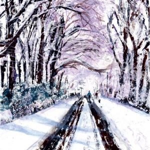Winter Walk