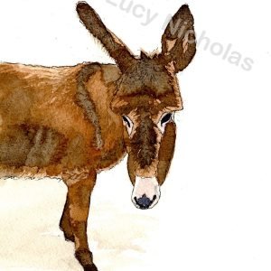Donkey