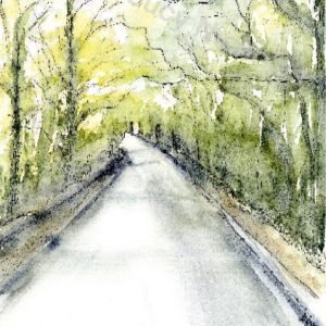 Nearly Home