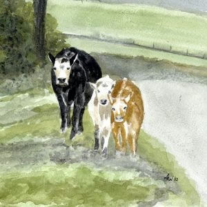 Just Out Walking