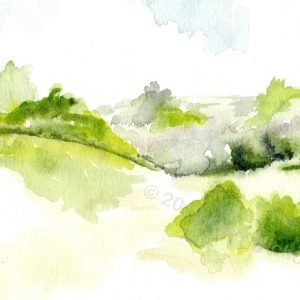 The Downs