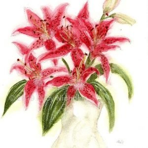 Lilies