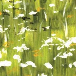 Field Of Flowers