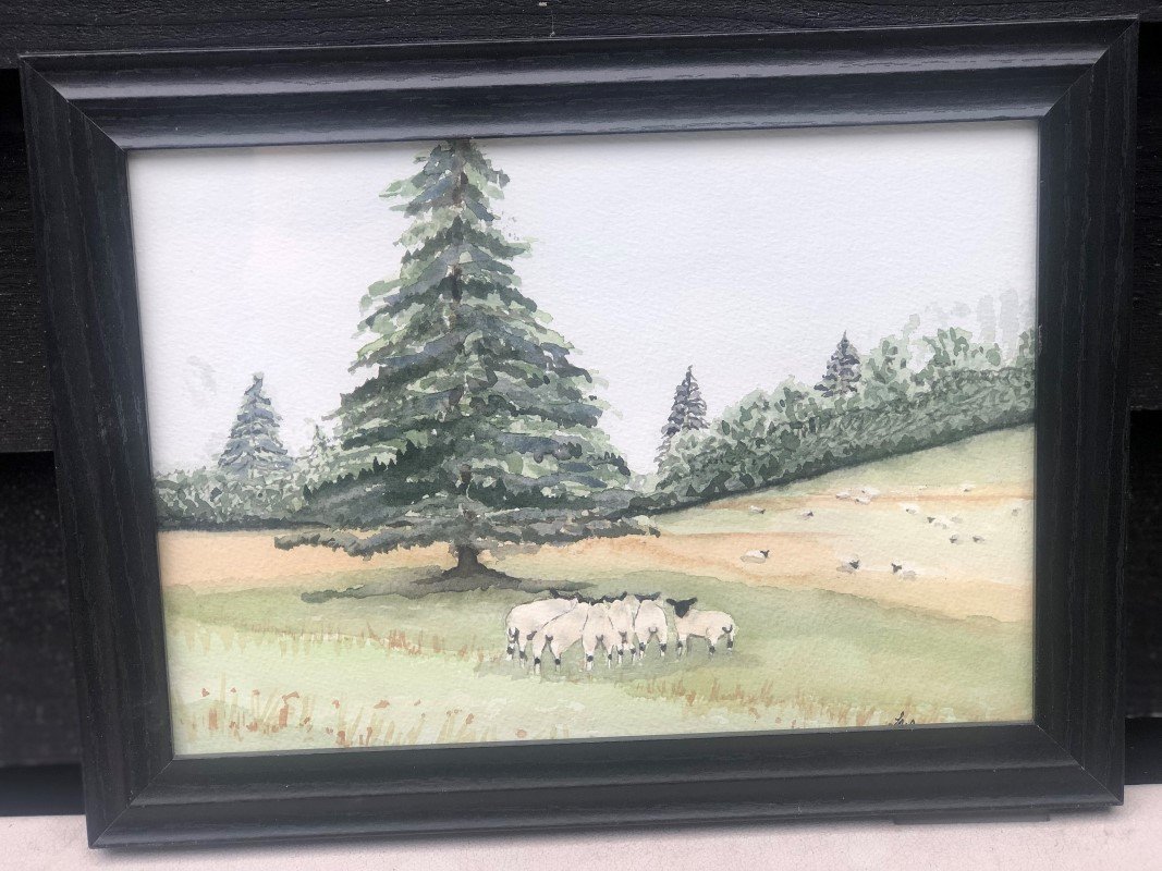 Gathered Sheep At Sandroyd - Original Art - SOLD