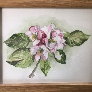 Apple Blossom - Original Art