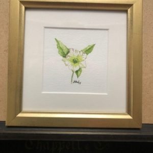 Christmas Rose - Original Art