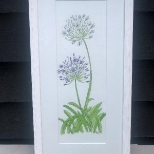 Agapanthus - Original Art