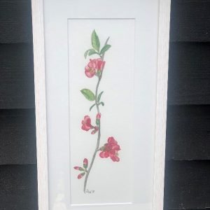 Chaemeles Japonica - Original Art