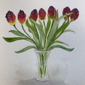 Chalke Valley Tulips