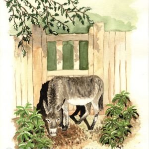 New Forest Donkey