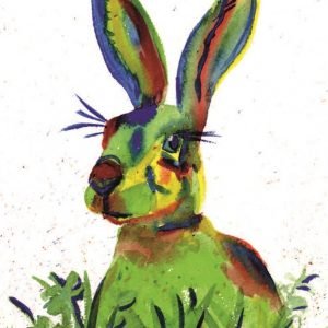 Colourful Hare