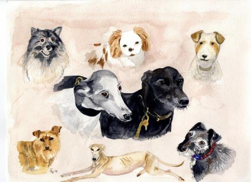 Commission - Jenny's Dogs