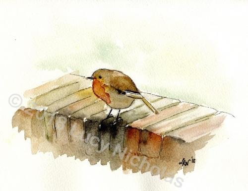 Garden Robin