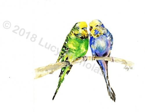 Budgies