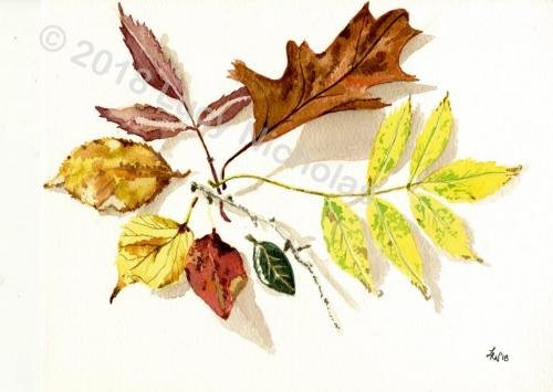Autumn Leaves