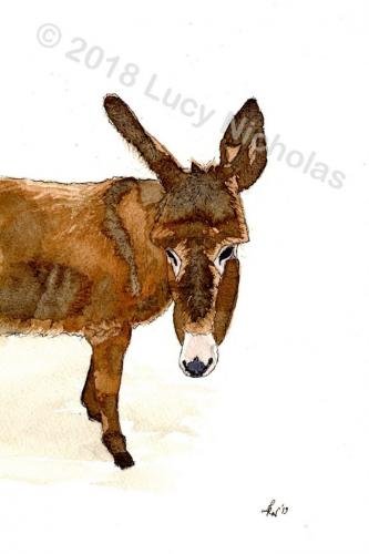 What Shall I Do Next?