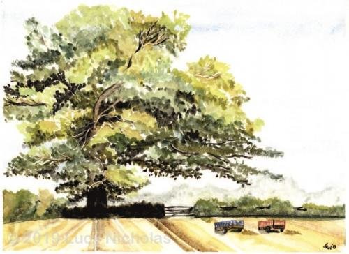 His and Hers - Standlynch