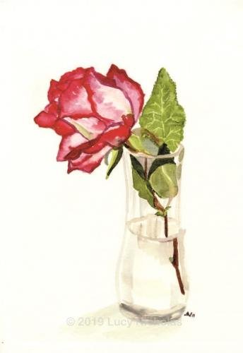 Single Rose
