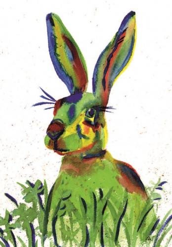 Colourful Hare
