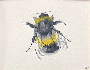 Humble Bumble