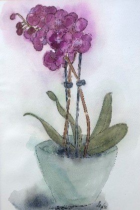 Potted Orchid