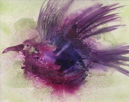 Overindulgent Hummingbird