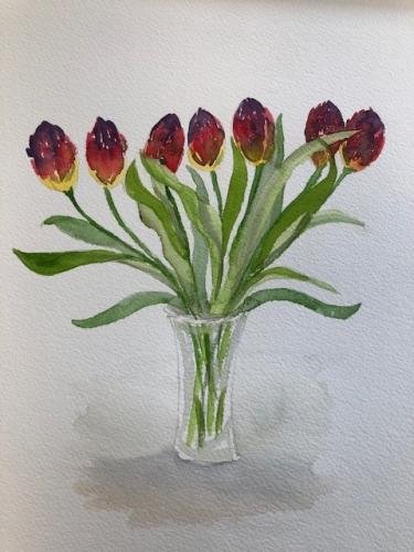 Chalke Valley Tulips