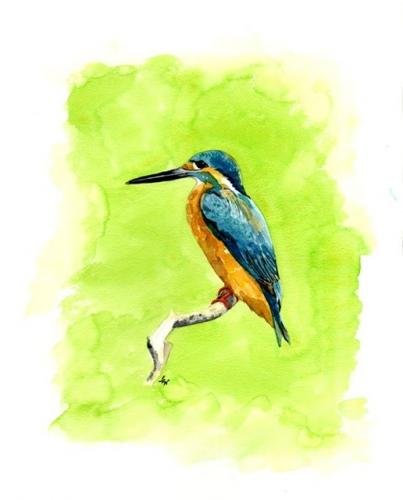 Kingfisher
