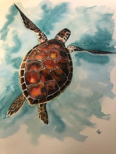 Sea Turtle