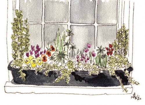 Romsey Window Box
