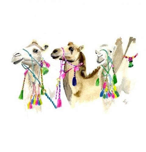 Little Durnford Camels