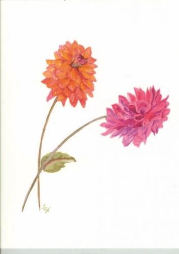 LN258 {Two Dahlias}